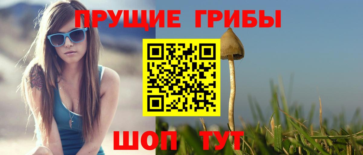 Псилоцибиновые грибы Cubensis  Галлюциногенные грибы Psilocybe  Новоалтайск  Вход с VPN 